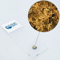海洋光學(xué)納米海綿狀 SERS