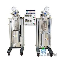 五洲鼎創(chuàng) WZM 機械攪拌平行高壓反應(yīng)釜