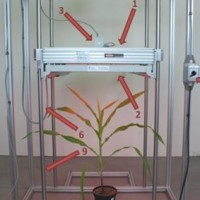 FluorCam大型葉綠素?zé)晒獬上衿脚_(tái)