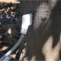 HPV 植物莖流傳感器/植物液流計(jì)