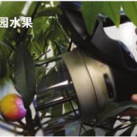 便攜式紫外-可見(jiàn)光熒光儀