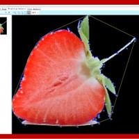 FruitAnalysis專業(yè)果實分析軟件