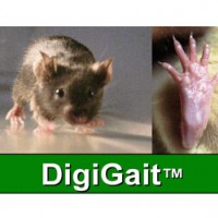 DigiGaitTM嚙齒動物步態(tài)分析系統(tǒng)