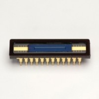 濱松 S11510-1006 紅外增強型CCD面陣傳感器