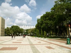 黑龍江九百余萬(wàn)預(yù)算購(gòu)置液相色譜、基因擴(kuò)增儀等分析儀器