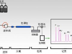 HJ1050-2019《水質(zhì)氯酸鹽、亞氯酸鹽、溴酸鹽、二氯乙酸和三氯乙酸的測(cè)定離子色譜法》發(fā)布