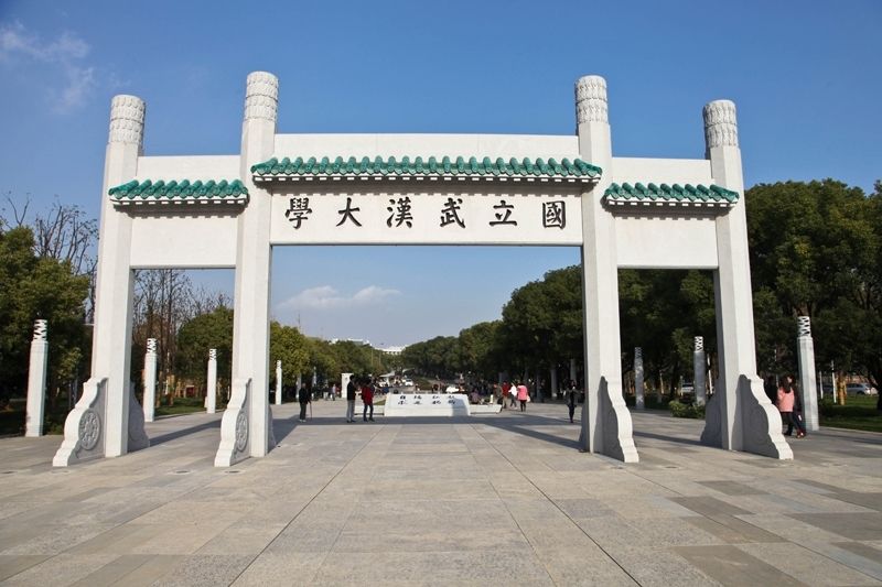 武漢大學采購拉曼光譜儀等實驗室分析儀器