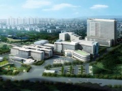 預算110萬元 山東大學第二醫(yī)院采購電泳儀、普通PCR儀等實驗儀器設備