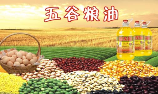 糧食質(zhì)量安全檢驗(yàn)監(jiān)測(cè)體系建設(shè)項(xiàng)目?jī)x器設(shè)備采購(gòu)