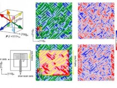 原子力顯微鏡(Atomic Force Microscopy)觀察多鐵薄膜中的磁疇翻轉