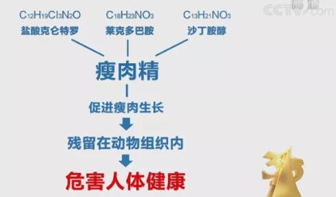 克倫特羅的測(cè)定方案