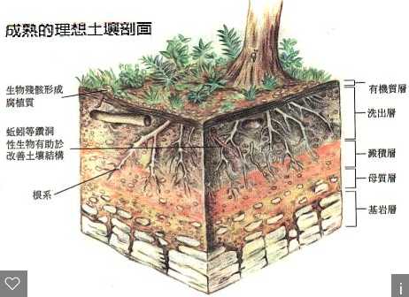 HJ 1184-2021《土壤和沉積物 6種鄰苯二甲酸酯類化合物的測定 氣相色譜-質(zhì)譜法》