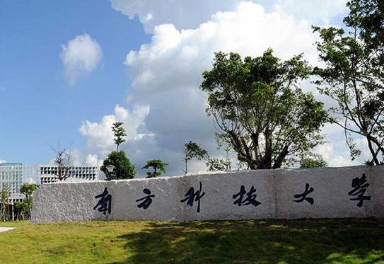 南方科技大學預(yù)算199萬元公開招標采購微區(qū)X射線應(yīng)力儀