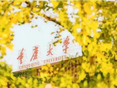 重慶大學預算120萬 招標采購全自動多站比表面及孔徑分析儀
