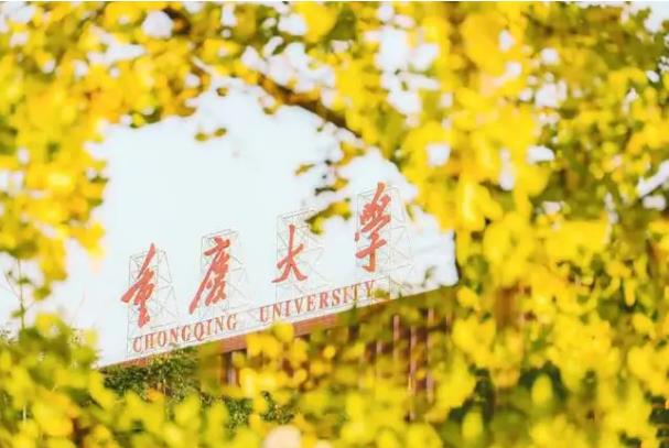 重慶大學(xué)預(yù)算120萬 招標(biāo)采購全自動多站比表面及孔徑分析儀