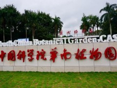 中國(guó)科學(xué)院華南植物園預(yù)算160萬(wàn) 采購(gòu)穩(wěn)定同位素分析儀