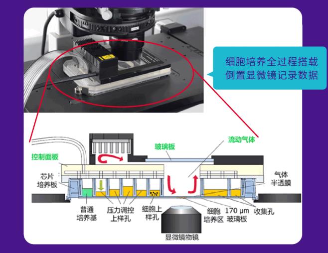 微流控細胞芯片實驗室CellASIC®ONIX2
