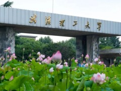武漢理工大學預算150萬元 采購激光器及便攜式氣體分析儀等儀器設備
