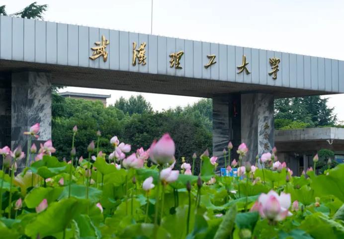 武漢理工大學(xué)平面激光誘導(dǎo)熒光測試系統(tǒng)染料激光器及便攜式氣體分析儀項(xiàng)目