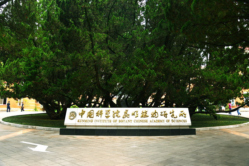 中國科學(xué)院昆明植物研究所