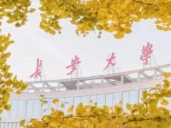 長安大學預算262萬 采購顆粒圖像處理儀、激光液態(tài)水同位素分析儀
