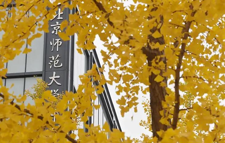 北京師范大學(xué)預(yù)算850萬 采購X射線電池原位結(jié)構(gòu)分析儀、固體核磁共振譜儀