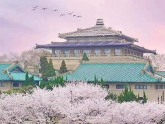 武漢大學(xué)1645萬(wàn)元 采購(gòu)顯微鏡、電感耦合等離子體質(zhì)譜、氣質(zhì)聯(lián)用儀等