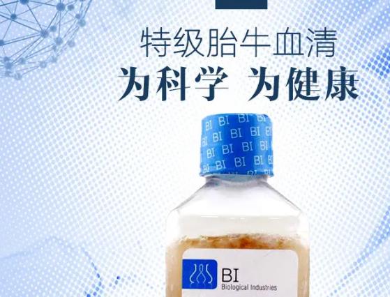牛血清中12種全氟化合物的測(cè)定