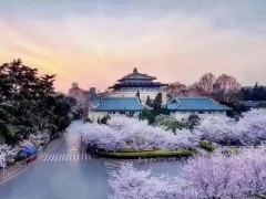 武漢大學(xué)預(yù)算1170萬 采購氣質(zhì)聯(lián)用儀、圓二色光譜儀、氣相色譜儀、液相色譜儀等