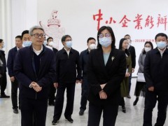 廣東省生態(tài)環(huán)境廳黨組書記徐曉霞一行蒞臨禾信儀器開展調研