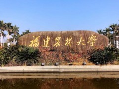 福建農(nóng)林大學(xué)預(yù)算65萬元 公開招標(biāo)采購(gòu)熒光定量PCR儀等設(shè)備