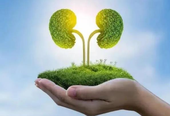 制備透析液用氯化鎂中鋁鹽含量的測定