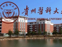 貴州醫(yī)科大學(xué)預(yù)算709萬 采購靜電場超高分辨液質(zhì)聯(lián)用儀等儀器設(shè)備