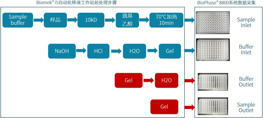 Beckman Biomek i5自動化移液工作站與SCIEX高通量毛細(xì)管電泳BioPhase? 8800系統(tǒng)