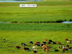 內(nèi)蒙古自治區(qū)水利科學(xué)研究院預(yù)算83萬 磋商采購(gòu)實(shí)驗(yàn)中心實(shí)驗(yàn)儀器