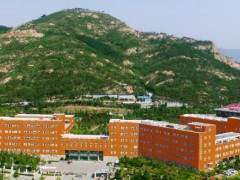 中國科學(xué)院青島生物能源與過程研究所198萬 采購多孔材料吸附重量分析儀