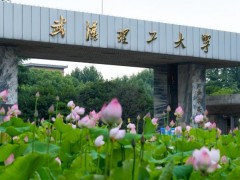 武漢理工大學預算300萬元 招標交通類專業(yè)實驗綜合平臺項目