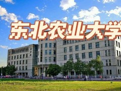 東北農(nóng)業(yè)大學(xué)農(nóng)學(xué)院預(yù)算31萬(wàn) 采購(gòu)高通量組織研磨儀等