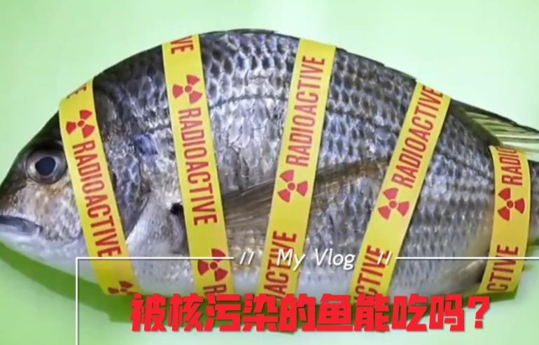 鹽漬海參產(chǎn)地及品質的測定