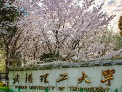 武漢理工大學預算2200萬元 采購800M固體核磁共振波譜儀