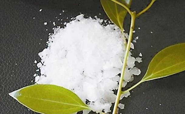 桉油精、龍腦含量的測定