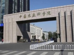 中國農(nóng)業(yè)科學院農(nóng)業(yè)基因組研究所669萬元 采購基因分析儀等一批儀器