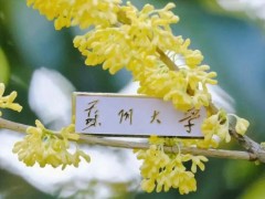 蘇州大學預算280萬元 公開招標流式細胞儀