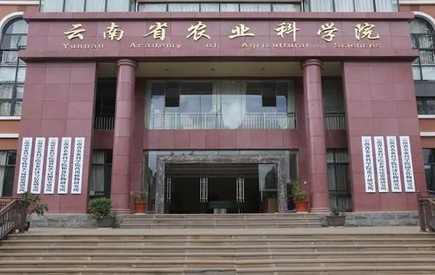 國家農(nóng)業(yè)科學(xué)勐海觀測實(shí)驗(yàn)站