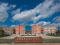 曲靖醫(yī)學高等專科學校預算485萬 采購招標藥學實驗儀器設備