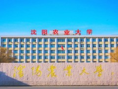 沈陽農(nóng)業(yè)大學(xué)水利學(xué)院預(yù)算96萬 競(jìng)爭(zhēng)性采購全站儀等設(shè)備