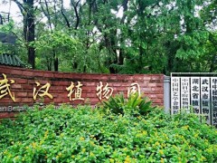 中國(guó)科學(xué)院武漢植物園預(yù)算185萬(wàn)元 采購(gòu)三重四極桿液質(zhì)聯(lián)用儀